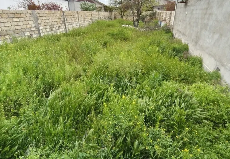 3.5 sot Torpaq Satılır, Sumqayıt