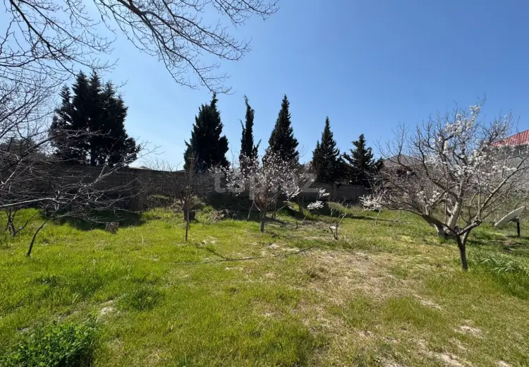 0 m² Obyekt / Ofis , Sumqayıt