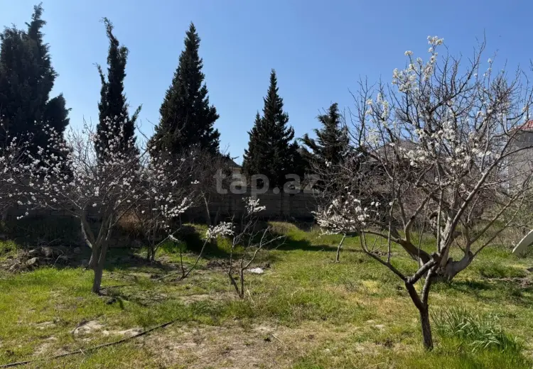 0 m² Obyekt / Ofis , Sumqayıt