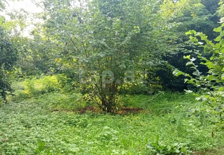 0 m² Obyekt / Ofis , Qəbələ