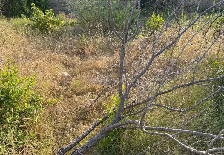 4.6 sot Torpaq Satılır, Məştağa qəs., Sabunçu, Bakı