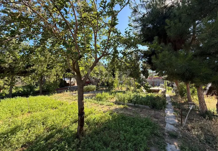 0 m² Obyekt / Ofis , Şağan, Xəzər, Bakı