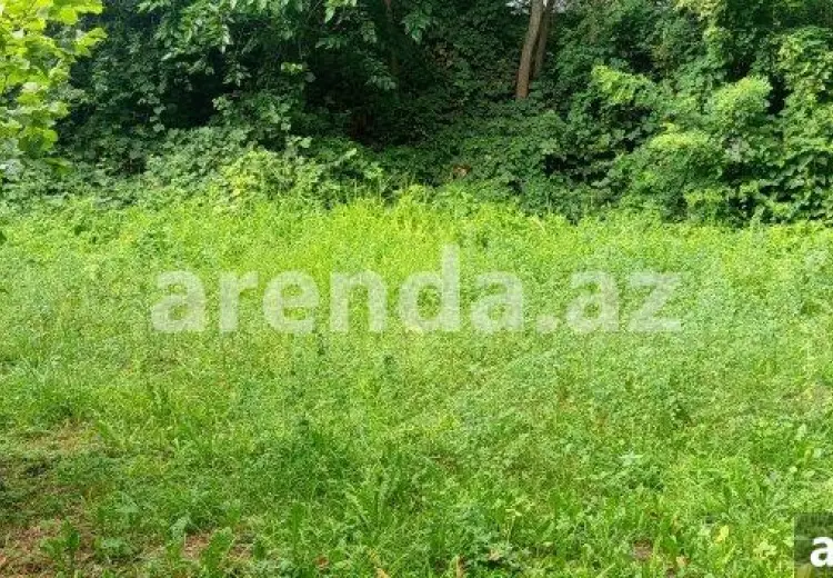 22 sot Torpaq Satılır, Qəbələ