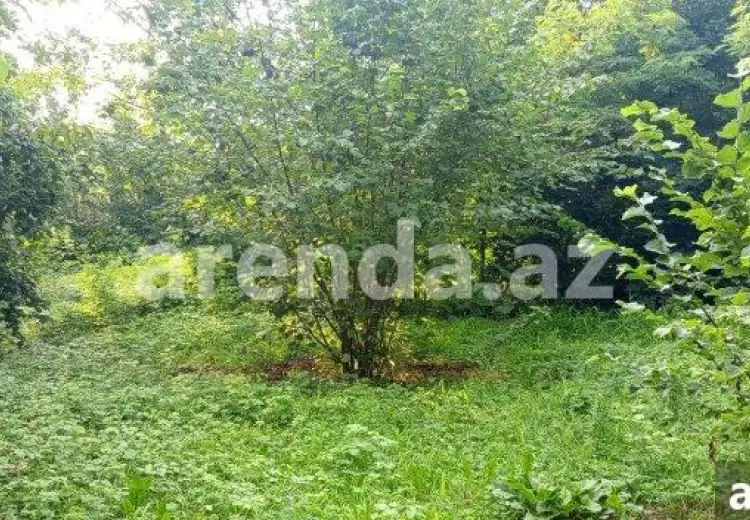 22 sot Torpaq Satılır, Qəbələ