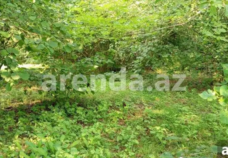 22 sot Torpaq Satılır, Qəbələ