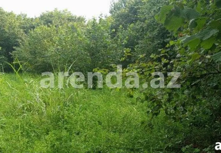 22 sot Torpaq Satılır, Qəbələ