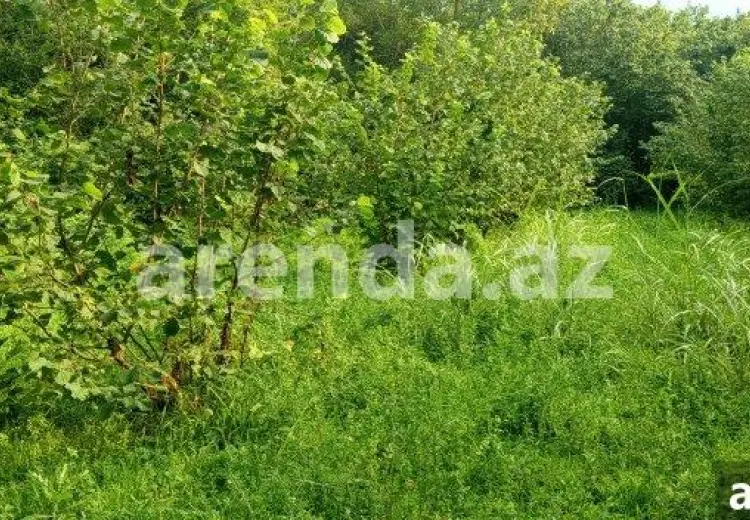 22 sot Torpaq Satılır, Qəbələ
