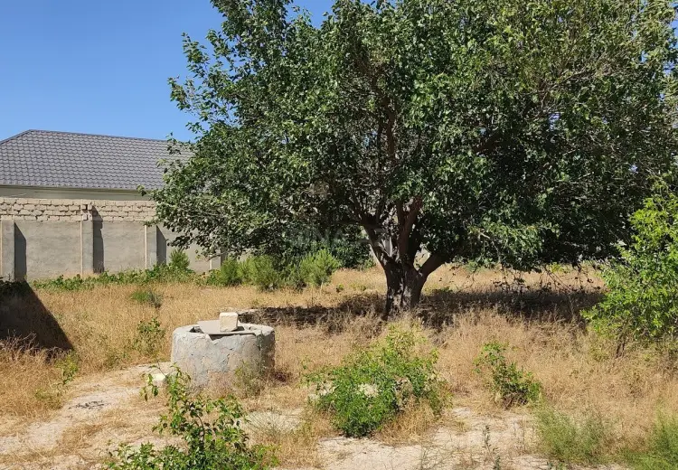 14 sot Torpaq Satılır, Pirşağı qəs., Sabunçu, Bakı
