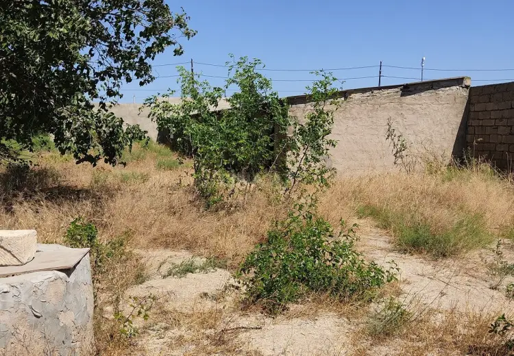 14 sot Torpaq Satılır, Pirşağı qəs., Sabunçu, Bakı