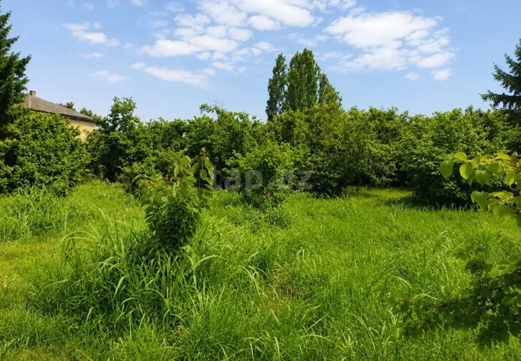0 m² Obyekt / Ofis , Xaçmaz