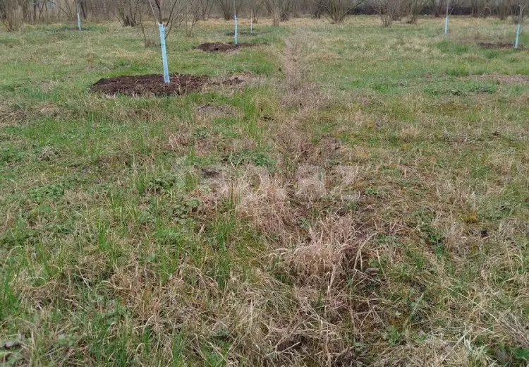 0 m² Obyekt / Ofis , Xaçmaz