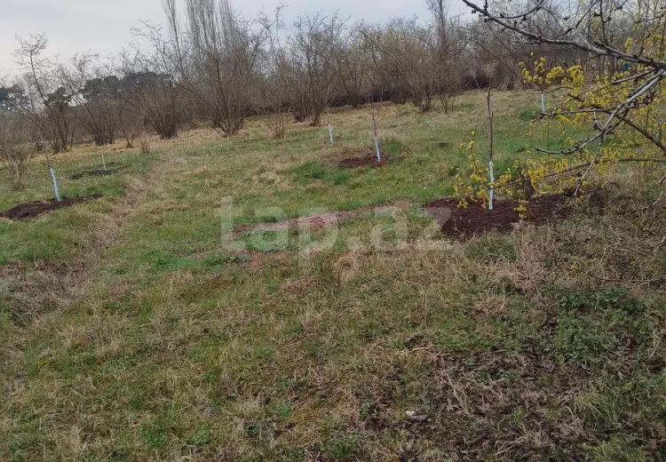 0 m² Obyekt / Ofis , Xaçmaz