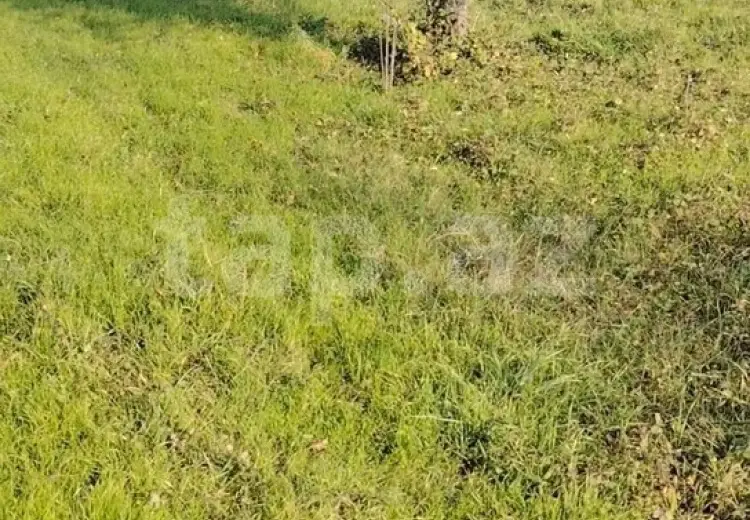 0 m² Obyekt / Ofis , Xaçmaz