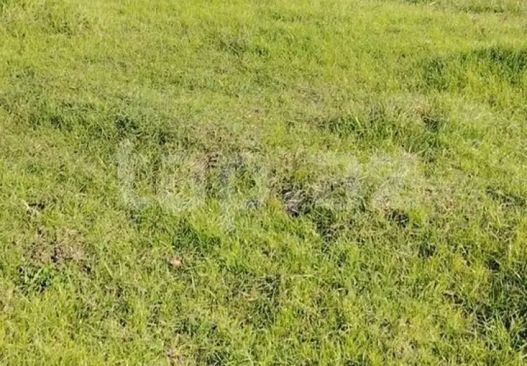 0 m² Obyekt / Ofis , Xaçmaz