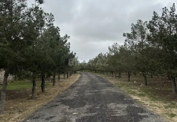 14.4 sot Torpaq Satılır, Şüvəlan, Xəzər, Bakı