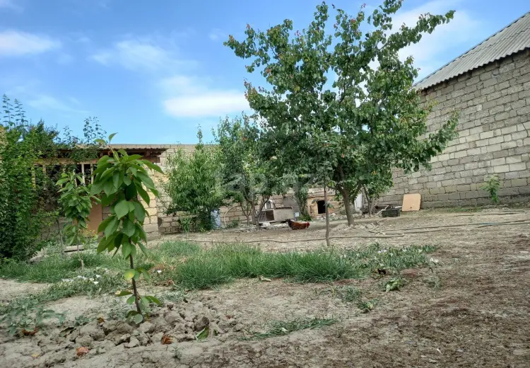 4 otaqlı mənzil , Xaçmaz