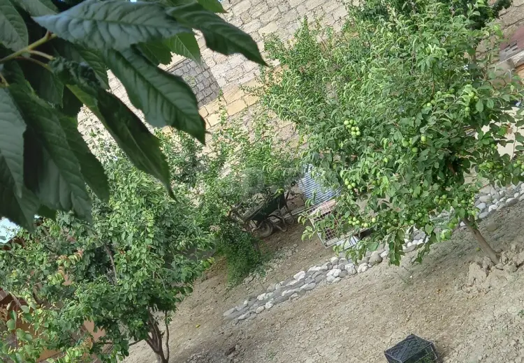 4 otaqlı mənzil , Xaçmaz