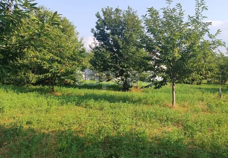 0 m² Obyekt / Ofis , Qəbələ