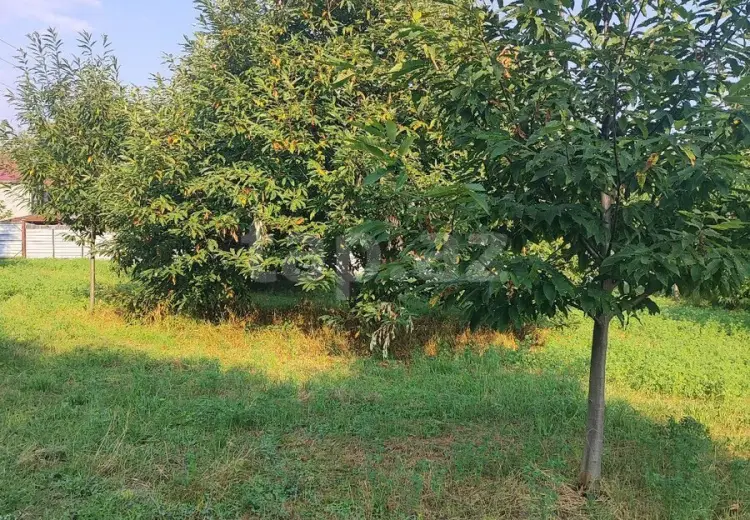 0 m² Obyekt / Ofis , Qəbələ