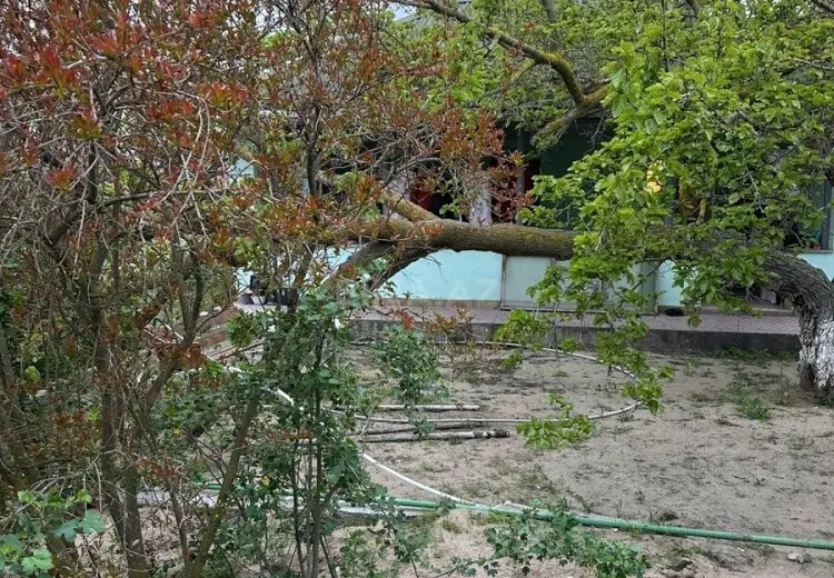4 sot Torpaq Satılır, Mərdəkan, Xəzər, Bakı
