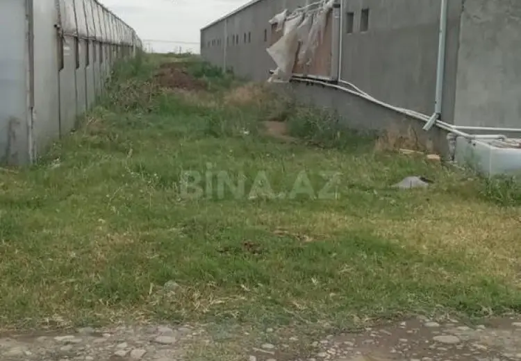 20000 m² Obyekt / Ofis Satılır, Samux