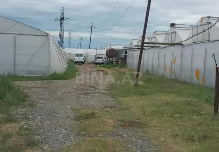 20000 m² Obyekt / Ofis Satılır, Samux