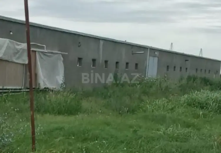 20000 m² Obyekt / Ofis Satılır, Samux
