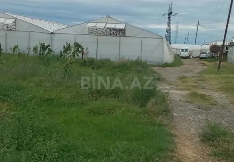 20000 m² Obyekt / Ofis Satılır, Samux