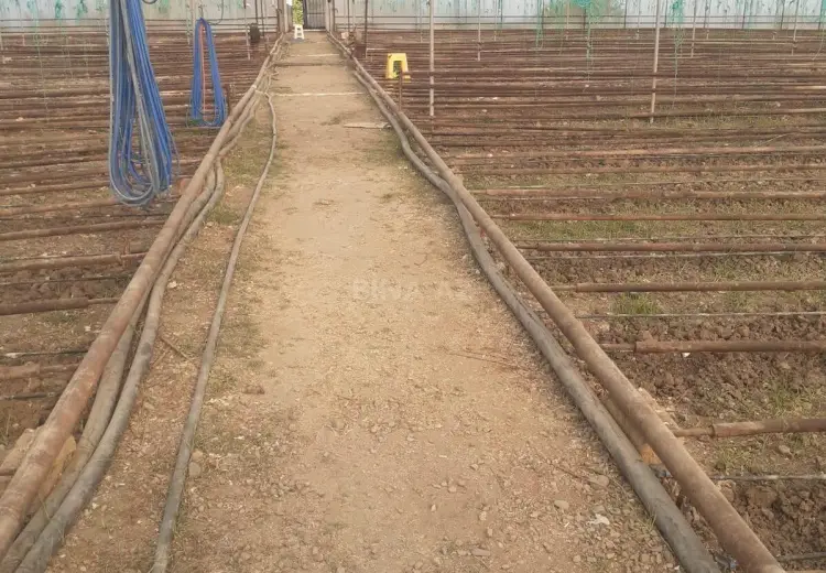 20000 m² Obyekt / Ofis Satılır, Samux