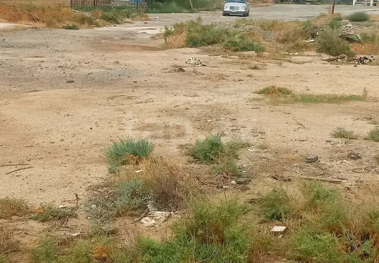 0 m² Obyekt / Ofis , Şirvan