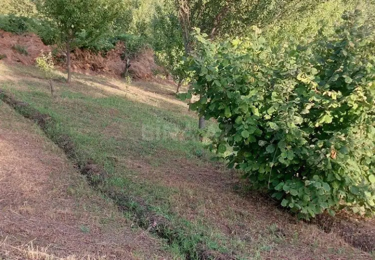 20 sot Torpaq Satılır, İsmayıllı