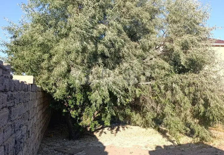 0 m² Obyekt / Ofis , Xəzər, Bakı