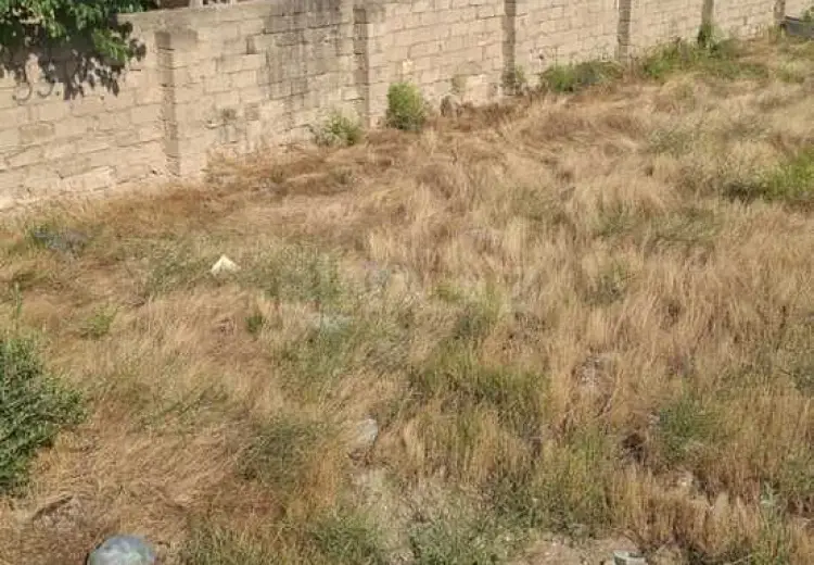 5.3 sot Torpaq Satılır, Buzovna, Xəzər, Bakı