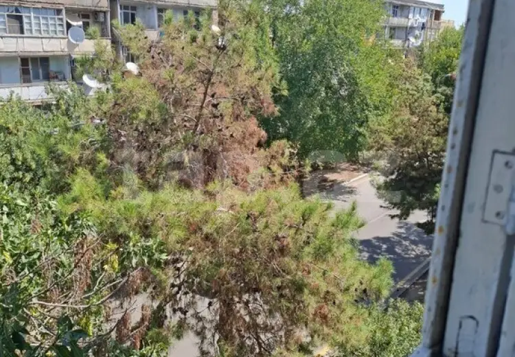 2 otaqlı mənzil , Şirvan