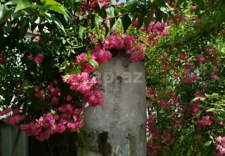 2 otaqlı mənzil Kirayə (günlük), Lerik