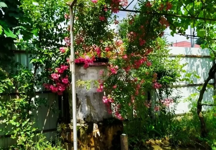 2 otaqlı mənzil Kirayə (günlük), Lerik