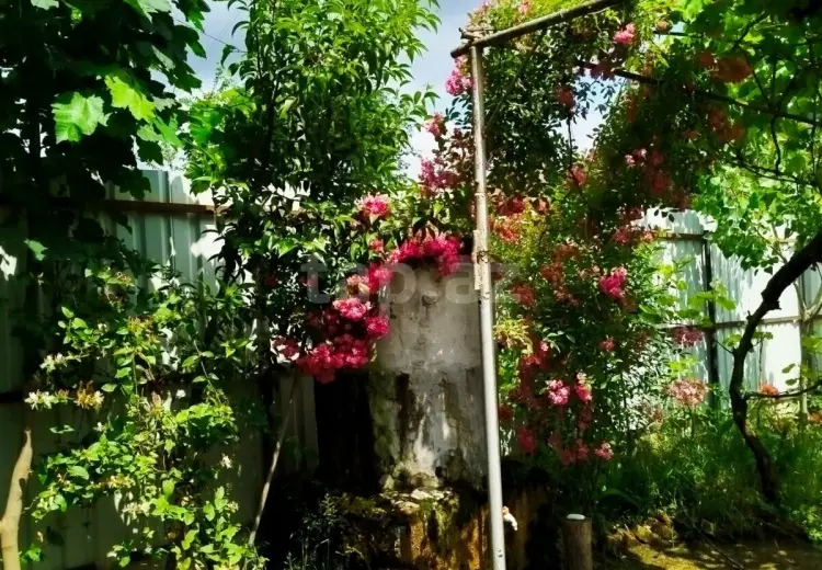 2 otaqlı mənzil Kirayə (günlük), Lerik