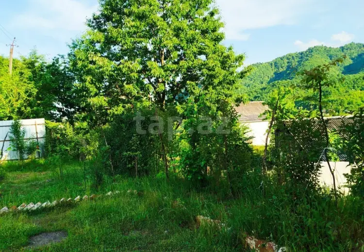 2 otaqlı mənzil Kirayə (günlük), Lerik