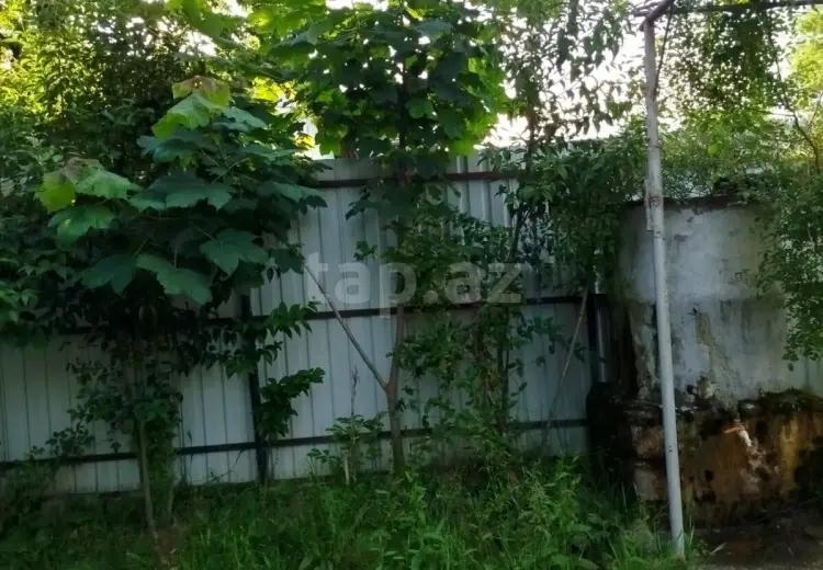 2 otaqlı mənzil Kirayə (günlük), Lerik