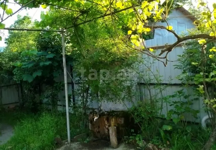 2 otaqlı mənzil Kirayə (günlük), Lerik