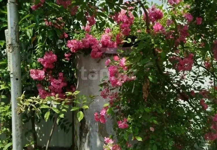 2 otaqlı mənzil Kirayə (günlük), Lerik