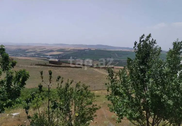 0 m² Obyekt / Ofis , Şamaxı