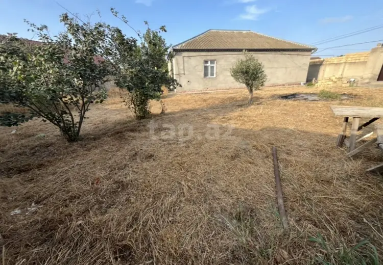 0 m² Obyekt / Ofis , Saray, Abşeron