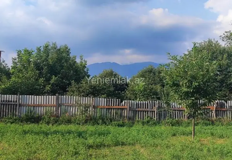 60 sot Torpaq Satılır, Qəbələ