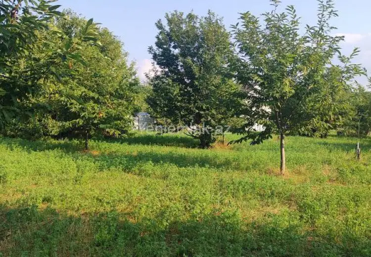 60 sot Torpaq Satılır, Qəbələ