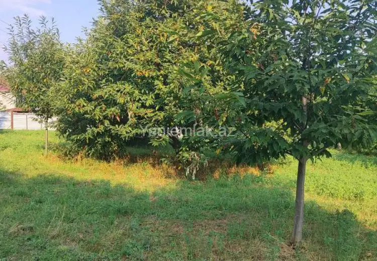 60 sot Torpaq Satılır, Qəbələ