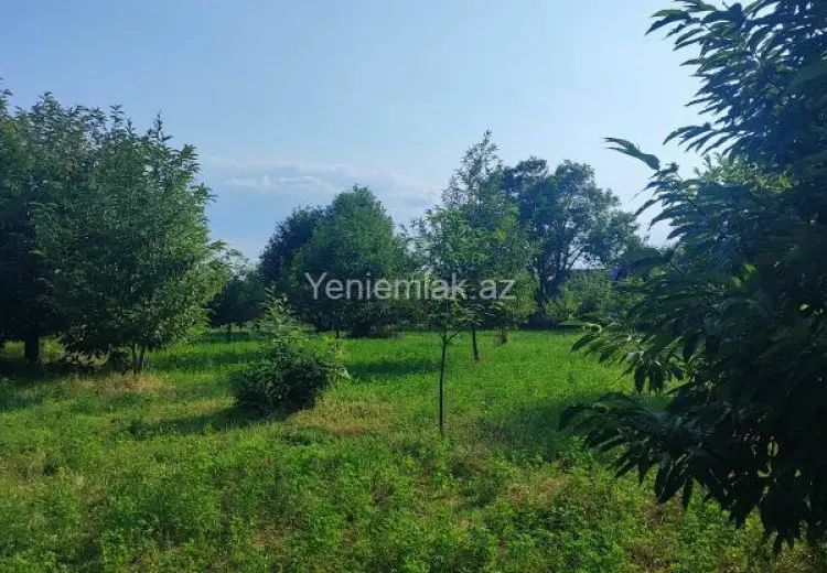 60 sot Torpaq Satılır, Qəbələ
