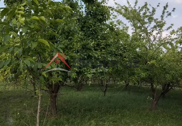 20 sot Torpaq Satılır, Quba