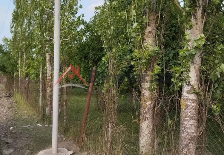 20 sot Torpaq Satılır, Quba