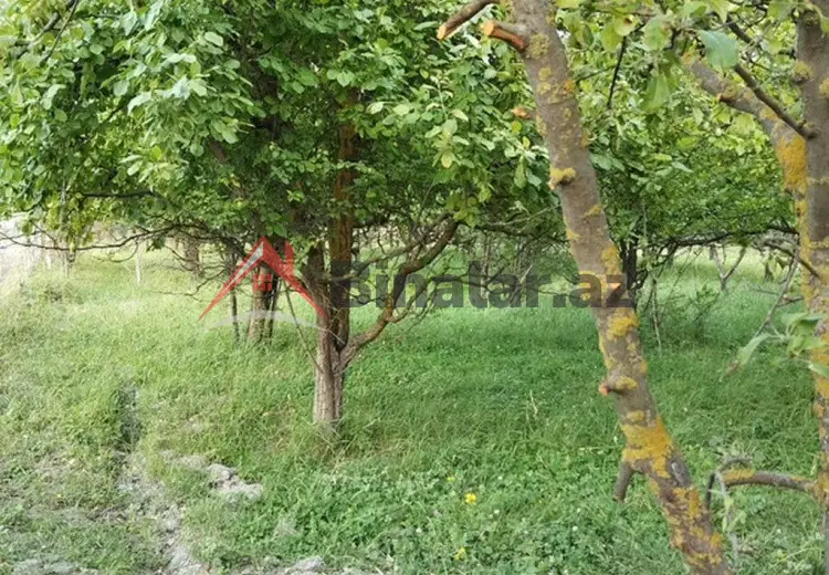 20 sot Torpaq Satılır, Quba